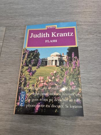 Flash Judith Krantz
