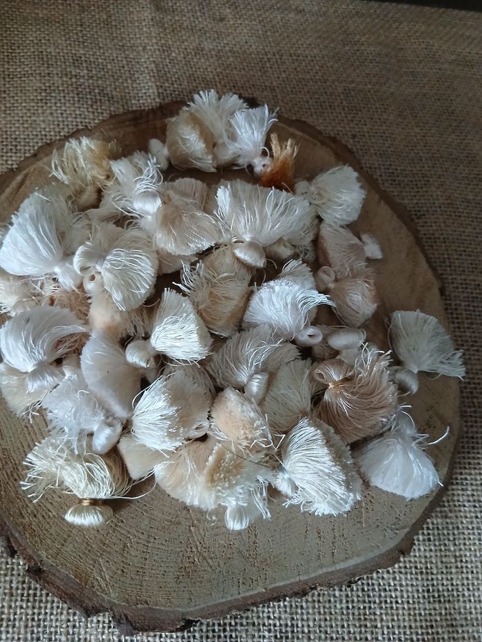Lot de 50 glands pompons blanc crème beige