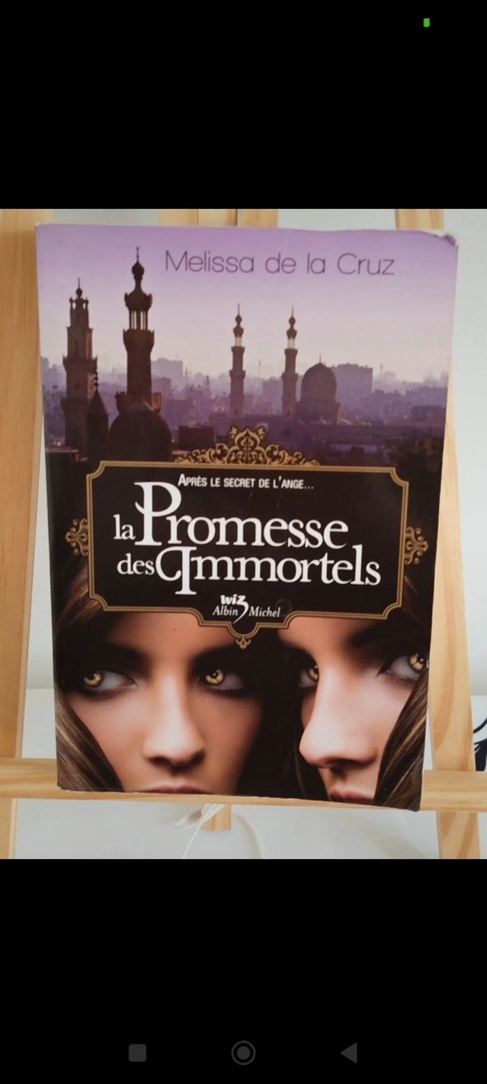 Lot de 7 livres de la saga de Mélissa De La Cruz - photo numéro 7