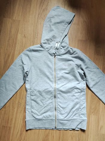 Veste grise Teddy Smith