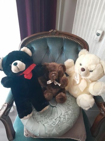 Peluche ours