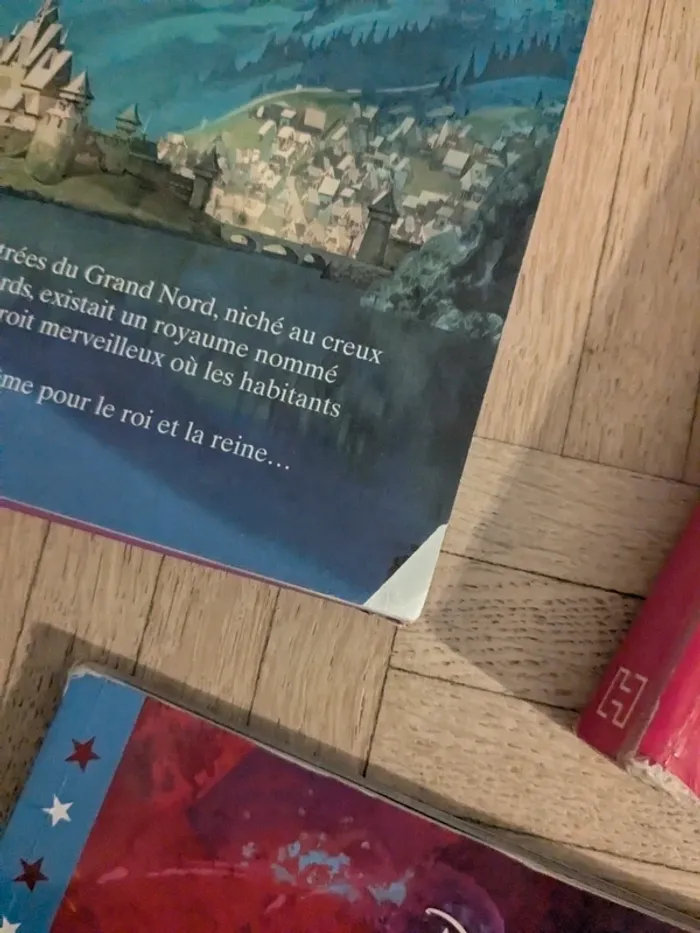 Lot livres Disney - photo numéro 2