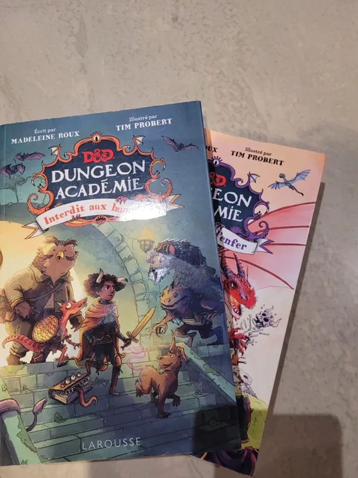 Livre dungeon académie tome 1 et 2 - photo numéro 6