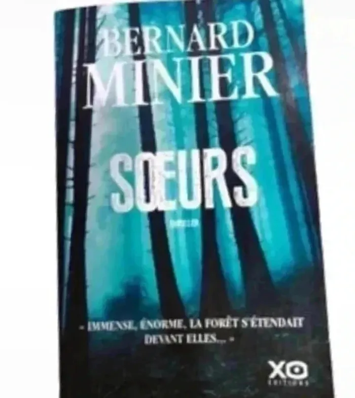 Livre sœurs de Bernard minier - photo numéro 2
