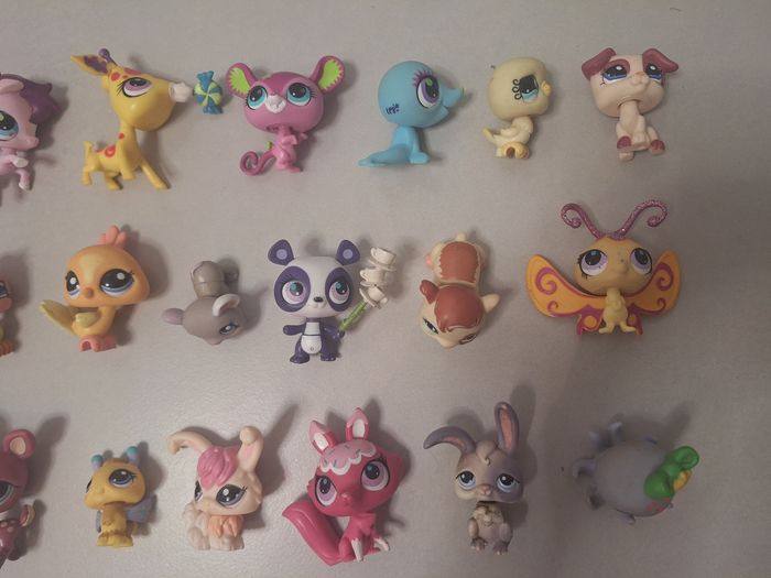 Lot 34 petshop - photo numéro 4