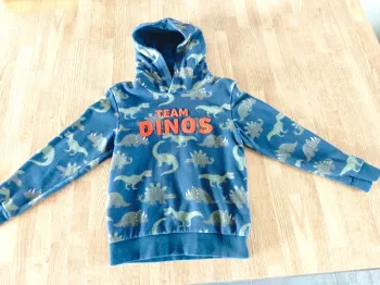Sweat dinosaures