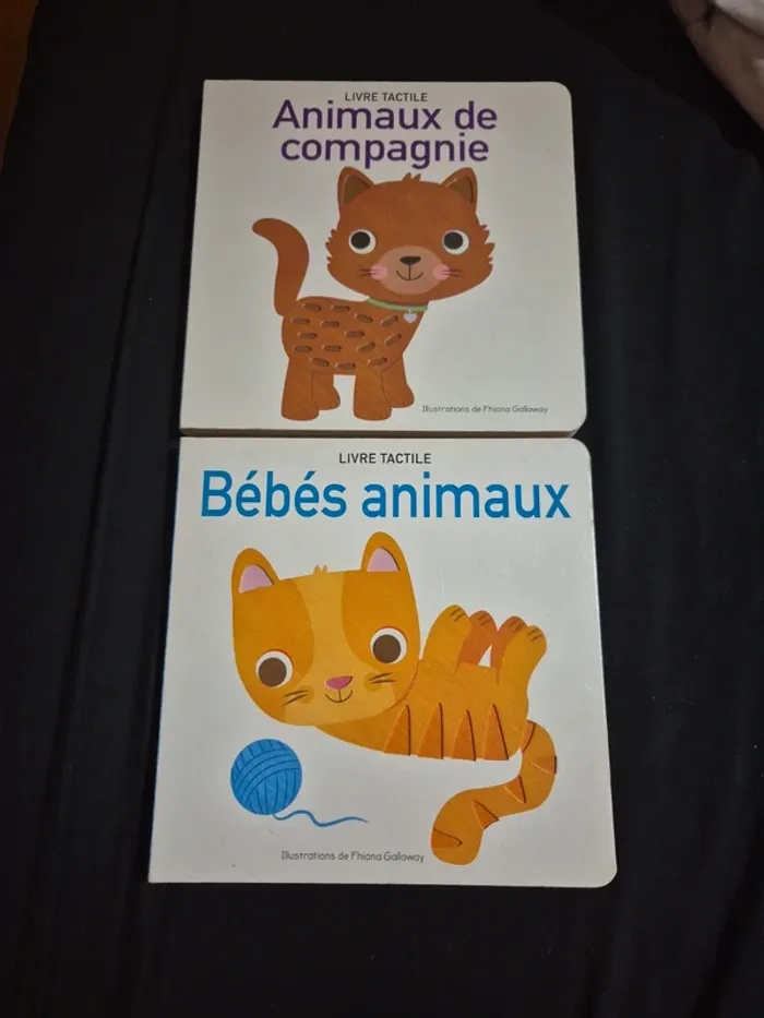 Livre tactile