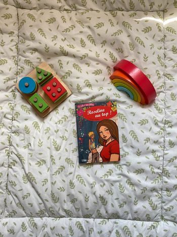 livre la collec des filles roseline au top !