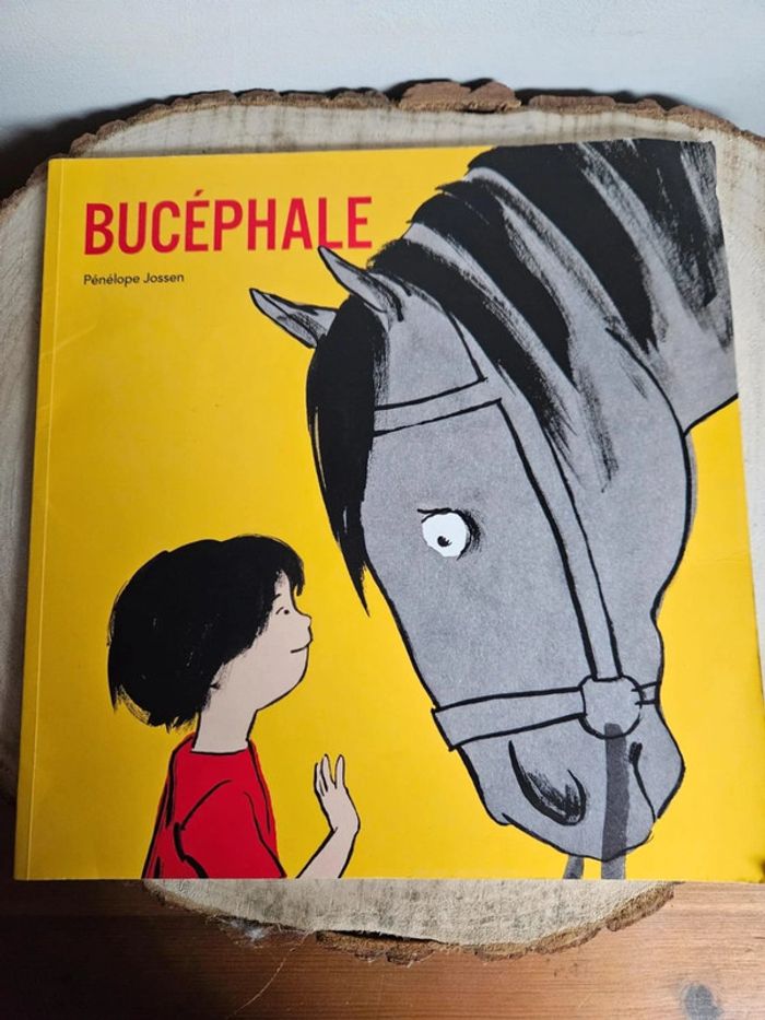 Bucéfale Ecole des Max 🐴