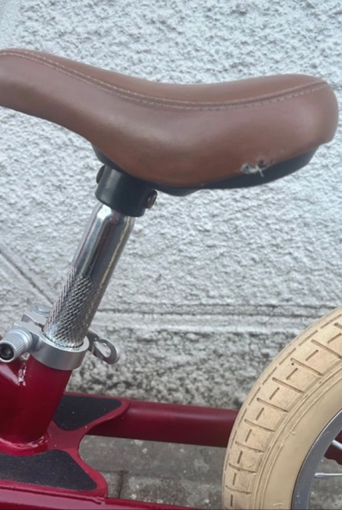 Trybike draisienne - photo numéro 4