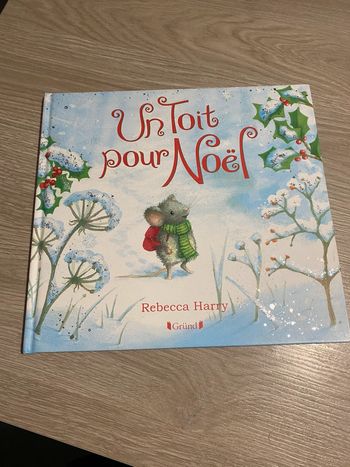 Livre un toit pour Noël