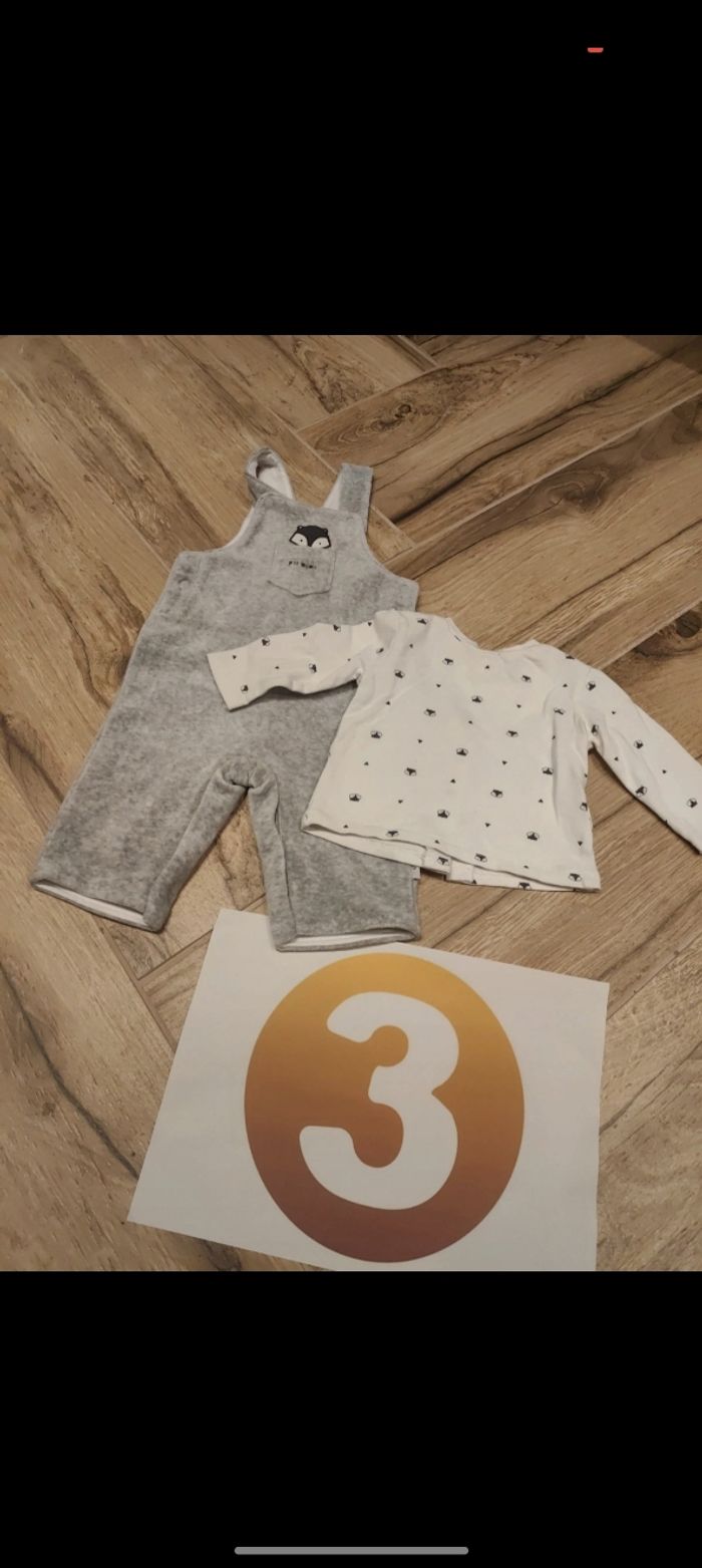 Lot ensemble 1 salopette grise chaude doublé et douce 
Avec t-shirt qui s'ouvre en totalité dans le dos 
Motif renard 
Marque p'tit bisou
Taille 3 mois 60cm
Parfait état