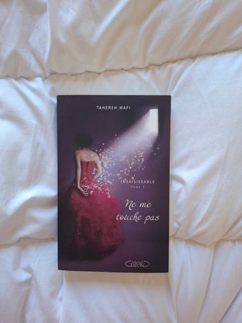 insaisissable (tome 1)