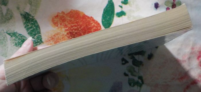 UN SI GRAND AMOUR de Danielle STEEL Ed. Pocket - photo numéro 5