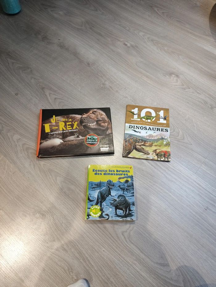Lot de 3 livres dinosaures