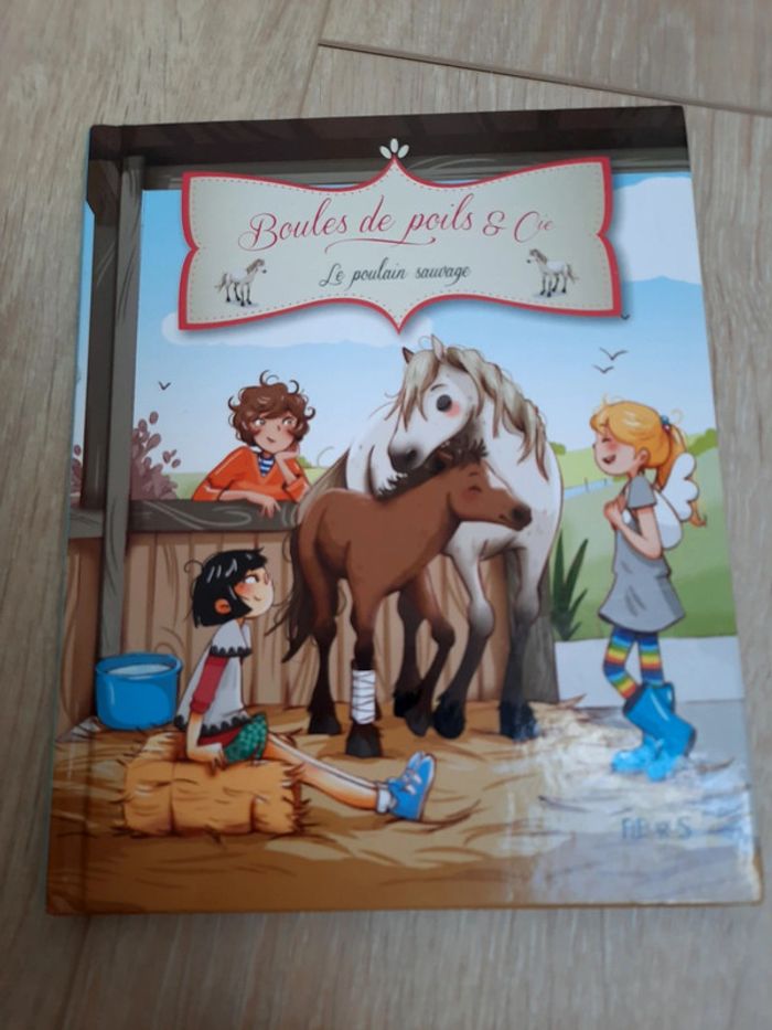 Lot de livres poney et chevaux - photo numéro 2