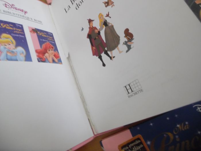 Ma princesse préférée - photo numéro 2