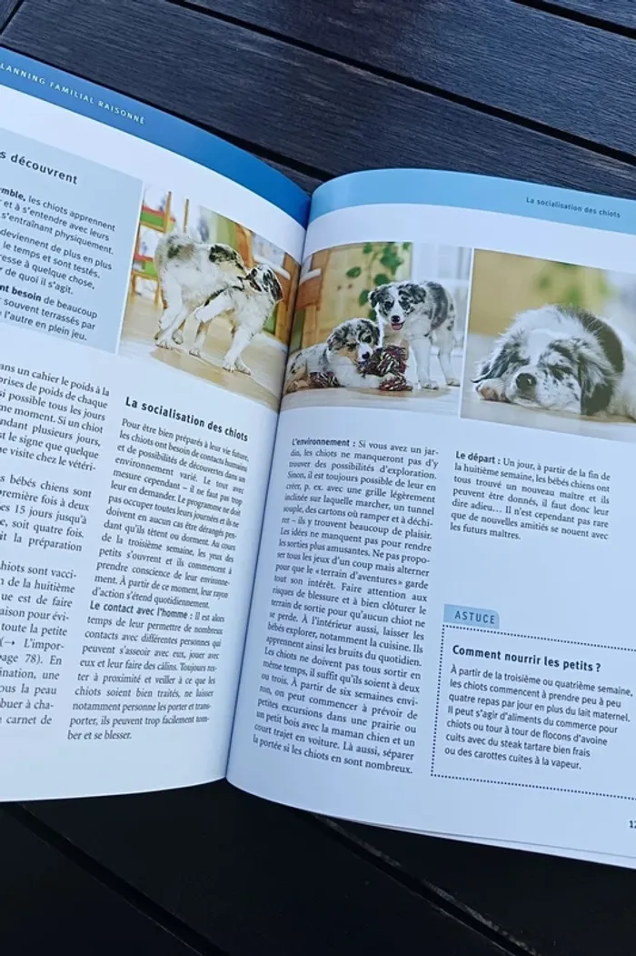 livre mon chien NEUF - photo numéro 4