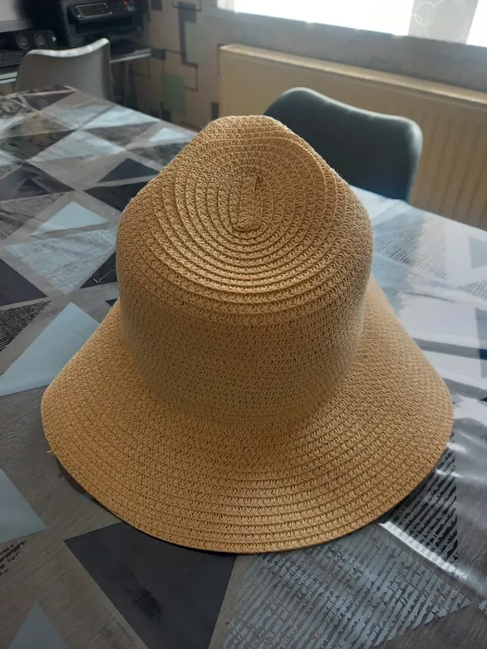 Chapeau - photo numéro 2