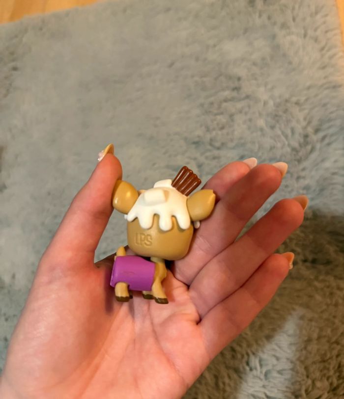 Petshop et accessoire - photo numéro 3