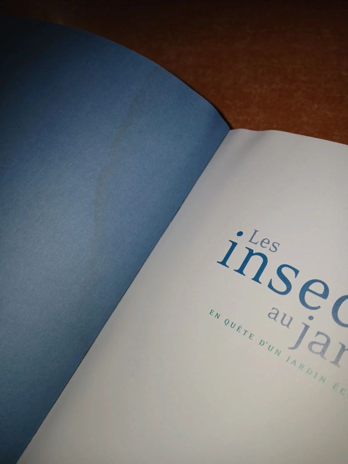 Les insectes au jardin - photo numéro 4