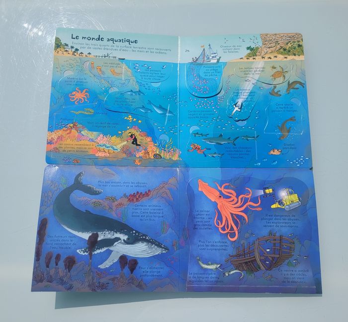 P'tits curieux Usborne 🌎 Notre Terre 🌎 80 rabats - photo numéro 7