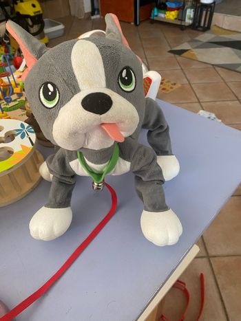 Chien à balader