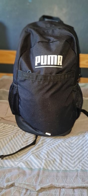 Sac puma