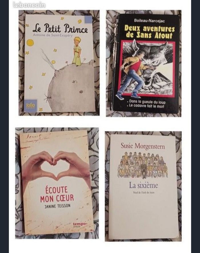 Livres _ Lot ou unité - photo numéro 2