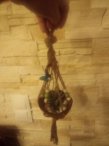 Noix de coco suspension