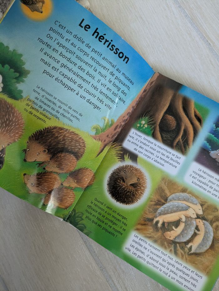 Livre la petite imagerie la forêt - photo numéro 2
