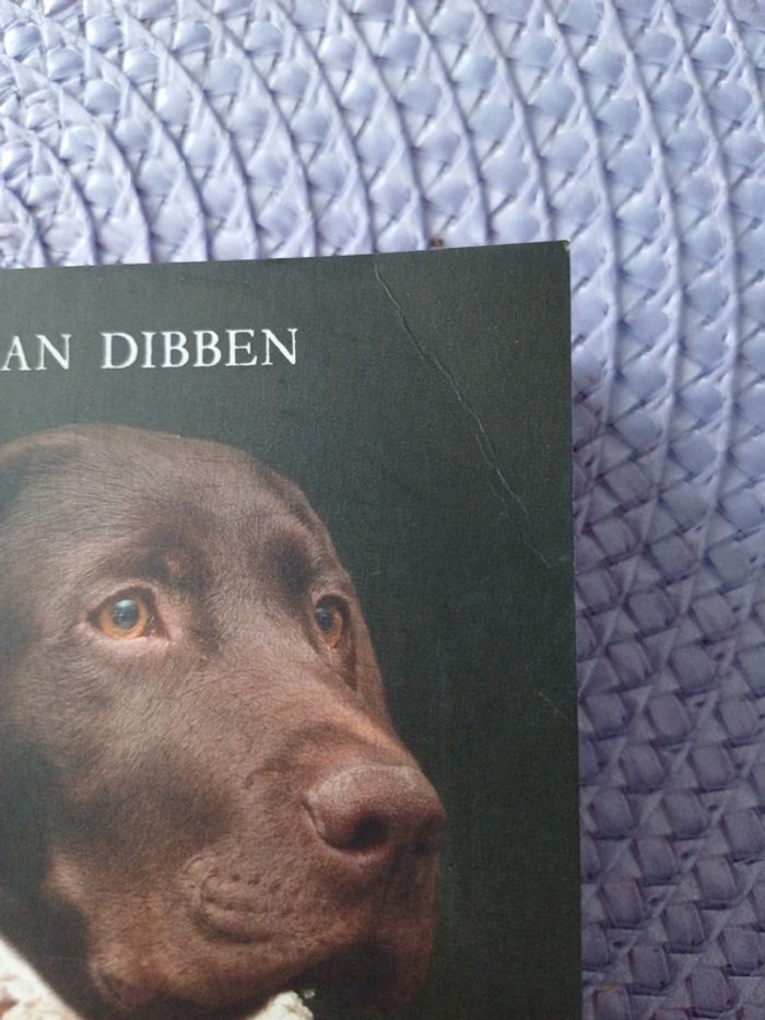 Livre Demain de Damian Dibben - photo numéro 5
