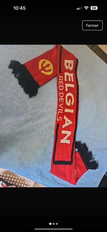Écharpe de la Belgique