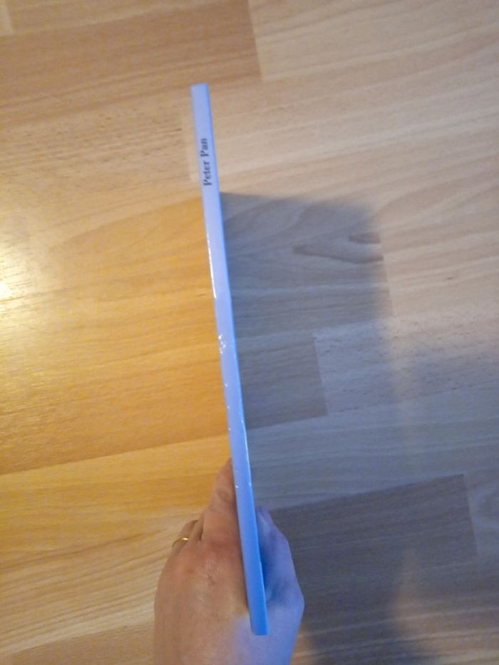 Livre: Peter Pan de Disney - photo numéro 6