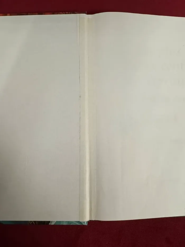 Livre Les Plus Beaux Contes de Perrault - photo numéro 2