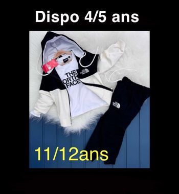 Survêtement the north face