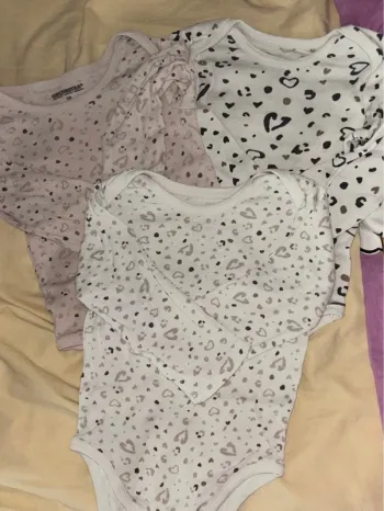Lot bodies
