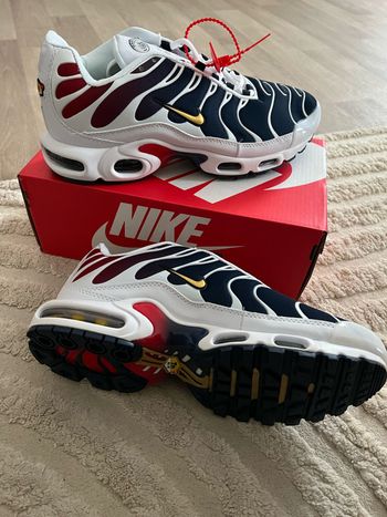 Nike Tn psg