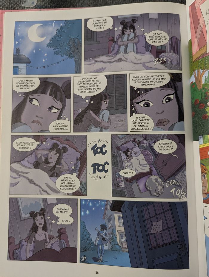 Bd coeur cerisemiss - photo numéro 3
