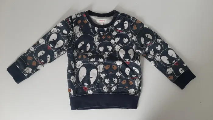 Sweat Garçon Catimini