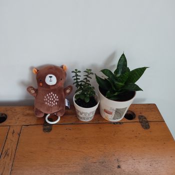 Doudou ours musical Du Pareil au Même très bon état