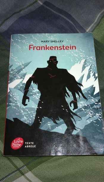 Livre Frankenstein Mary Shelley