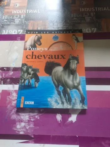 Livre dvd chevaux