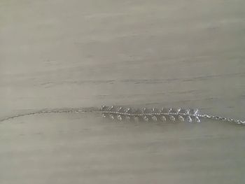 Bracelet en argent feuille