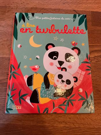 Livre Mes petites histoires du soir à lire en turbulette