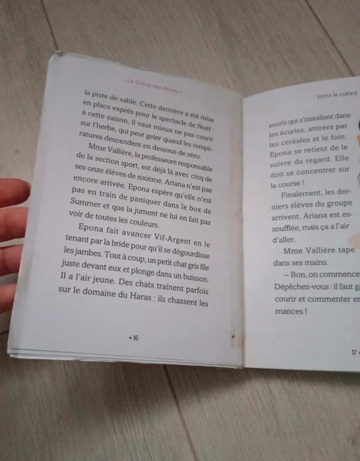 🐎 Lot de 2 livres équitation 🐎 - photo numéro 4