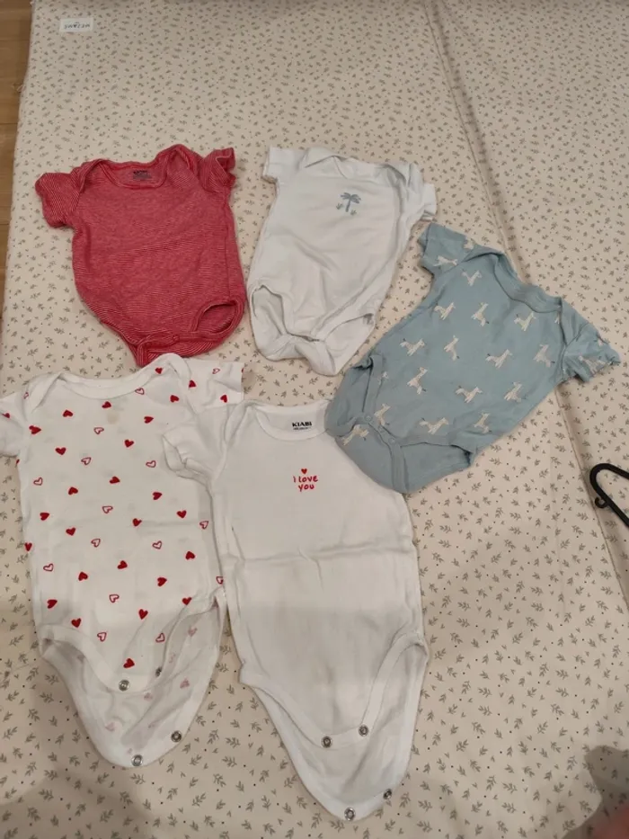 Lot de 5 bodies manches courtes - photo numéro 2