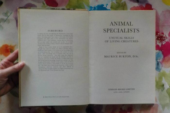 Animal specialists Animal world inn colour M. Burton - photo numéro 5