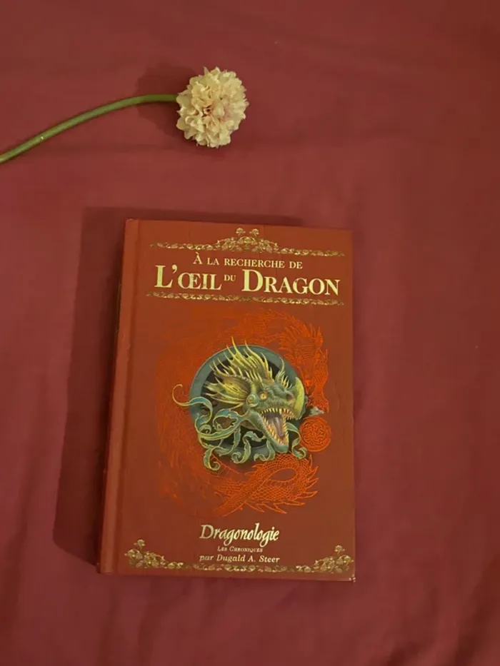 À la recherche de l’œil du dragon