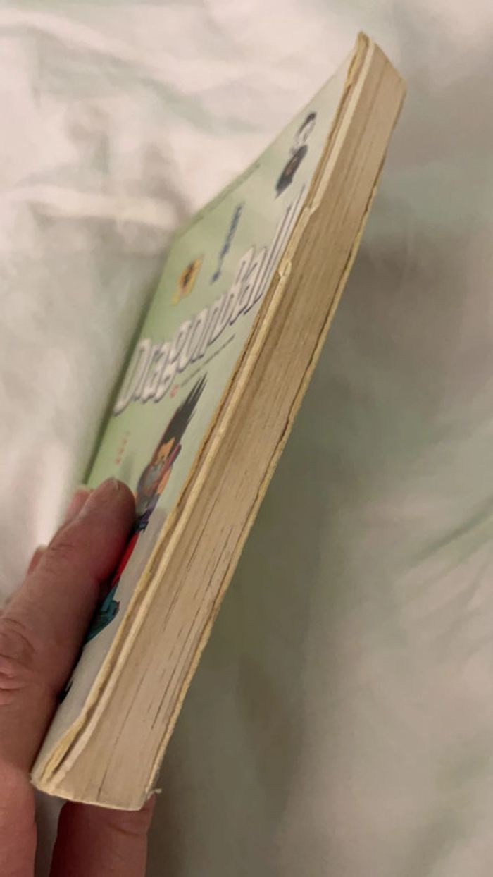 Livre Dragonball édition pastel 11 - photo numéro 4